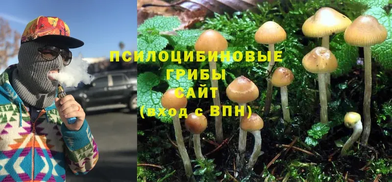 Псилоцибиновые грибы Psilocybe  наркошоп  Ленинск-Кузнецкий 